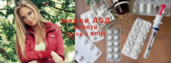 молекула духа Михайлов