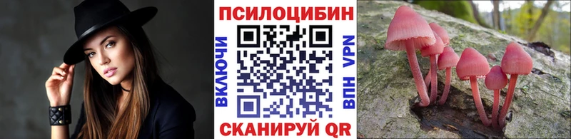 Купить  Дубна  Псилоцибиновые грибы прущие грибы 